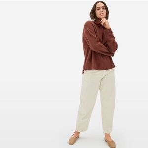 Everlane Stroopwafel Cashmere Turtleneck Sweater